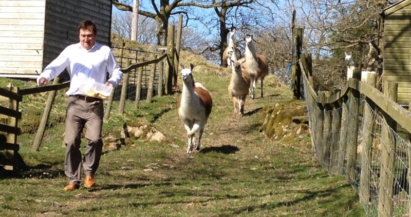 2007Barneythenewllamas