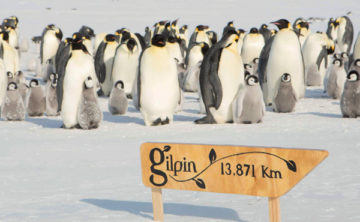 2018GilpininAntarctica