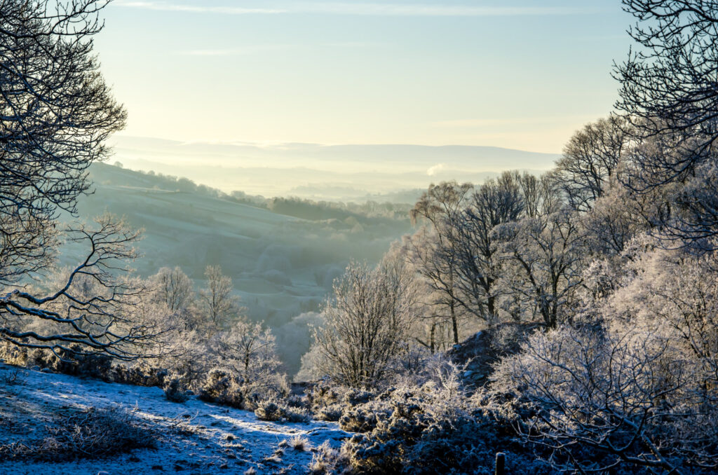 Winter view of snow-covered woodland and Lake District hills from the hot tub area