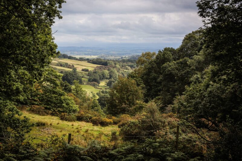 Panoramic view of the Lake District countryside from a private hot tub at Gilpin, with wooded hills and green valleys stretching into the distance.