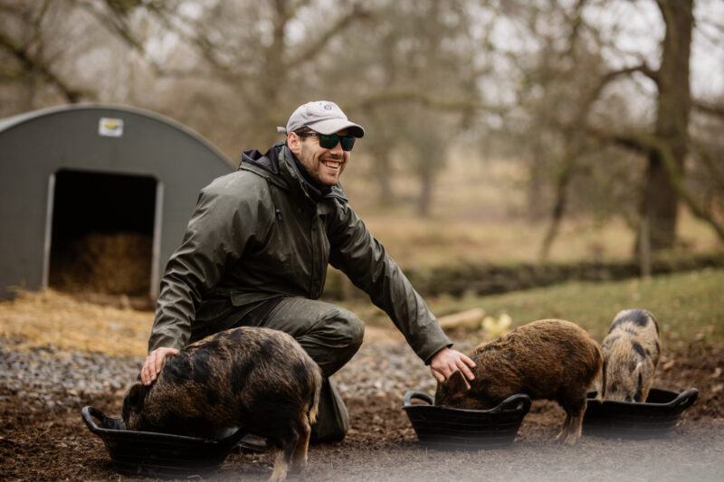 A male Gilpin gardener crouches beside three pigs as they eat from feeding troughs in a wooded enclosure.